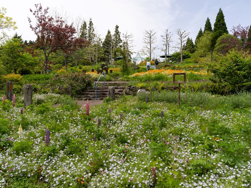 風景／Garden Museum／京都／日本