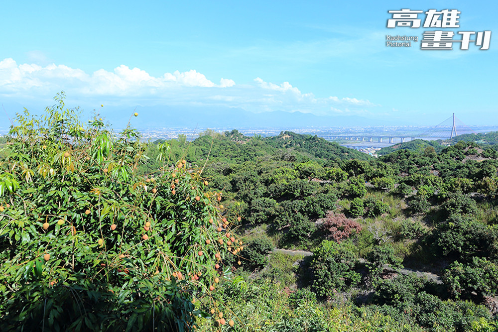 風景/南勝社區/高雄