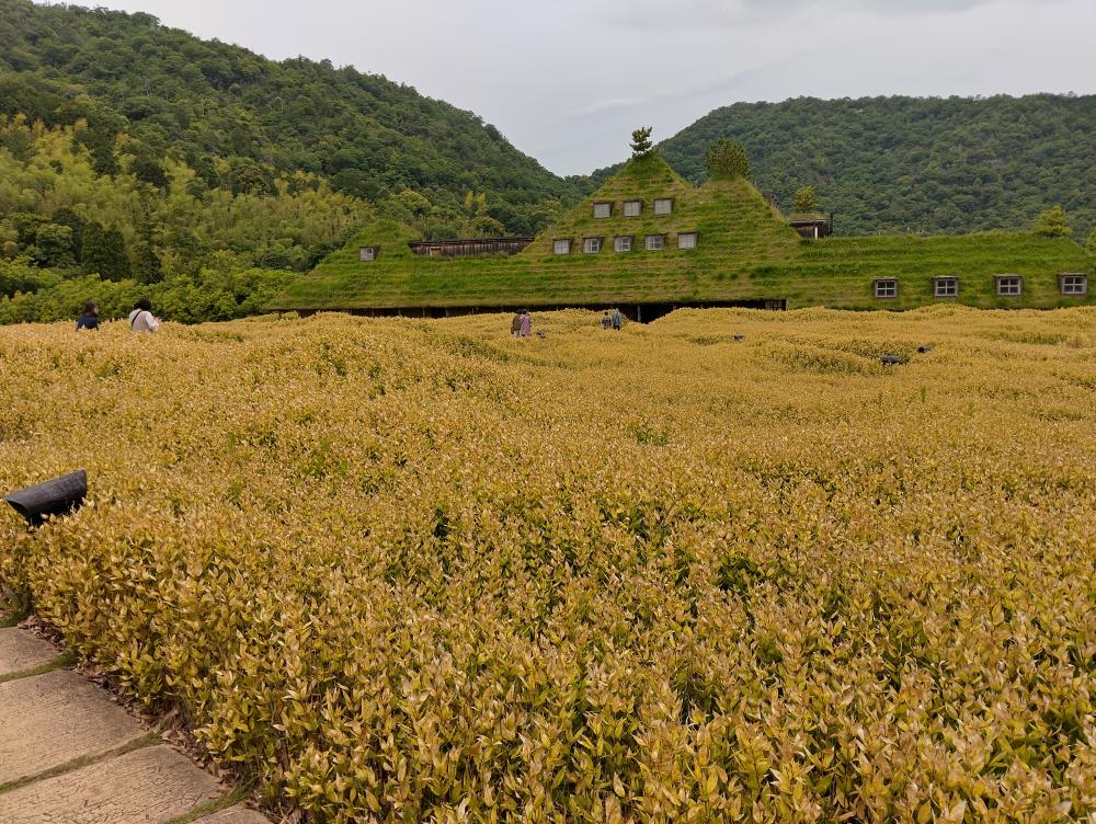 風景／滋賀縣／日本