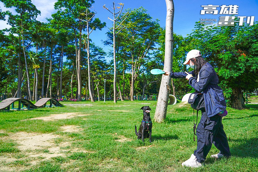 中正公園/寵物友善景點/高雄