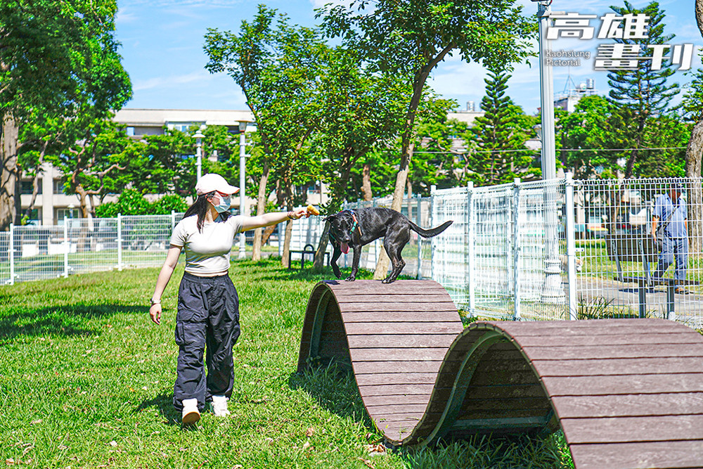 中山公園/寵物友善景點/高雄