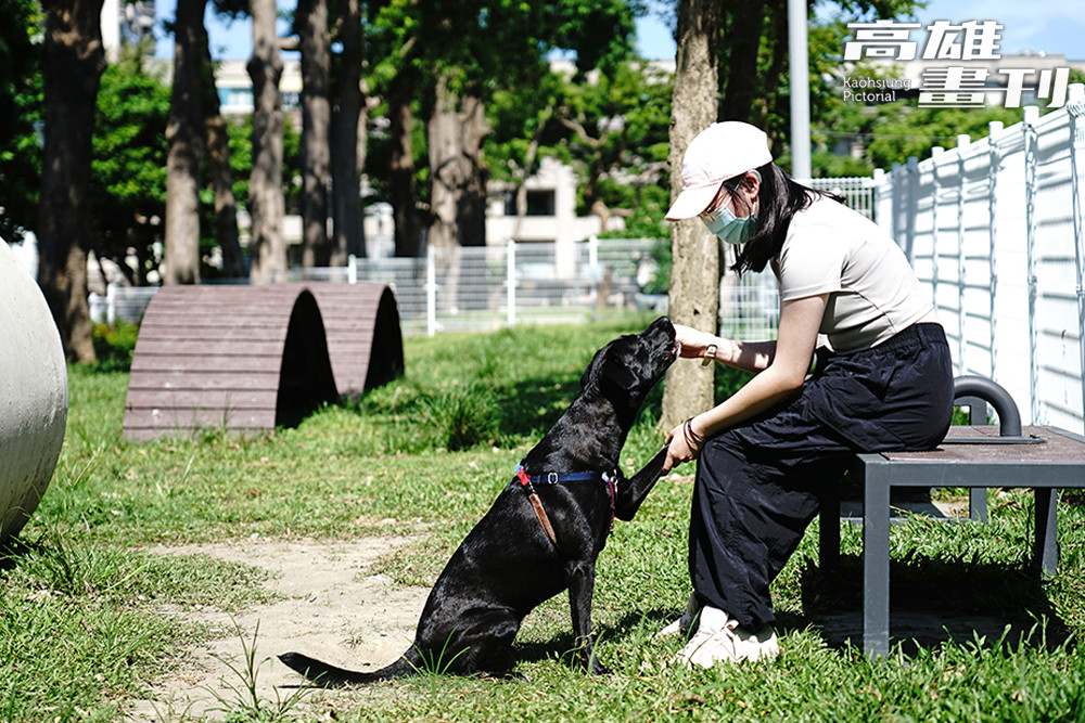 寵物公園/寵物友善景點/高雄