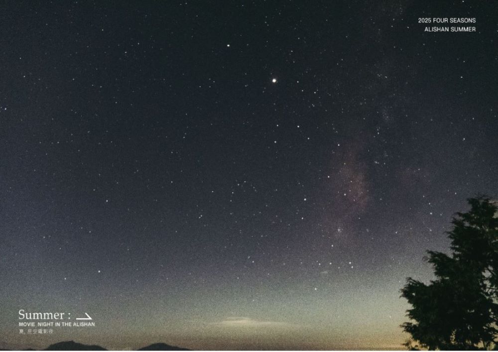 場景/夏,星空電影夜/阿里山森旅季活動/嘉義