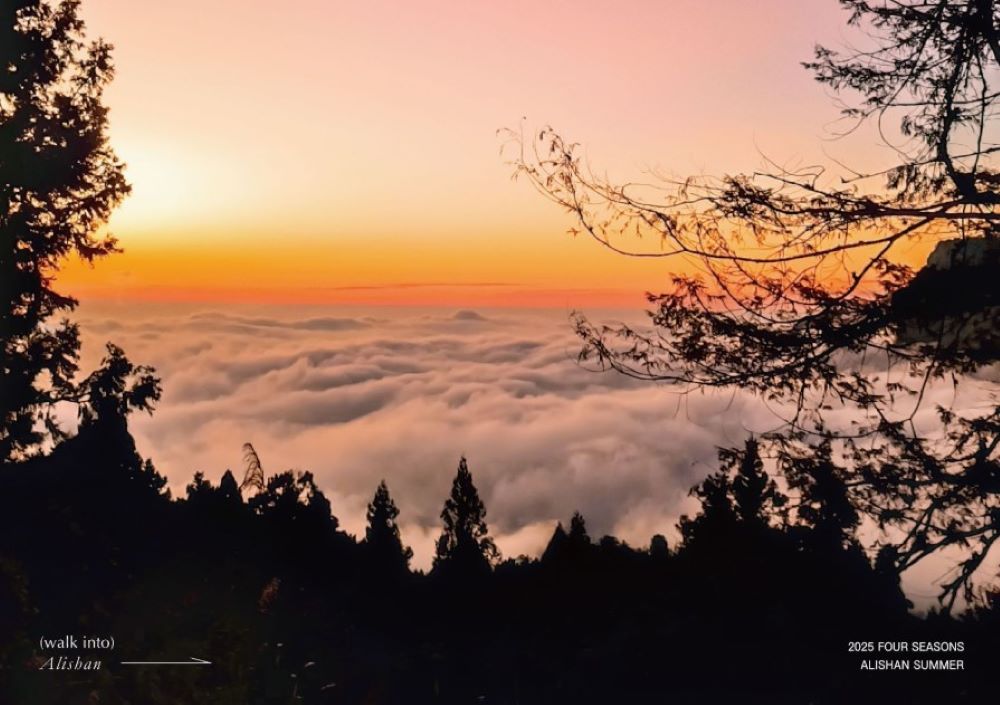 場景/夏,星空電影夜/阿里山森旅季活動/嘉義