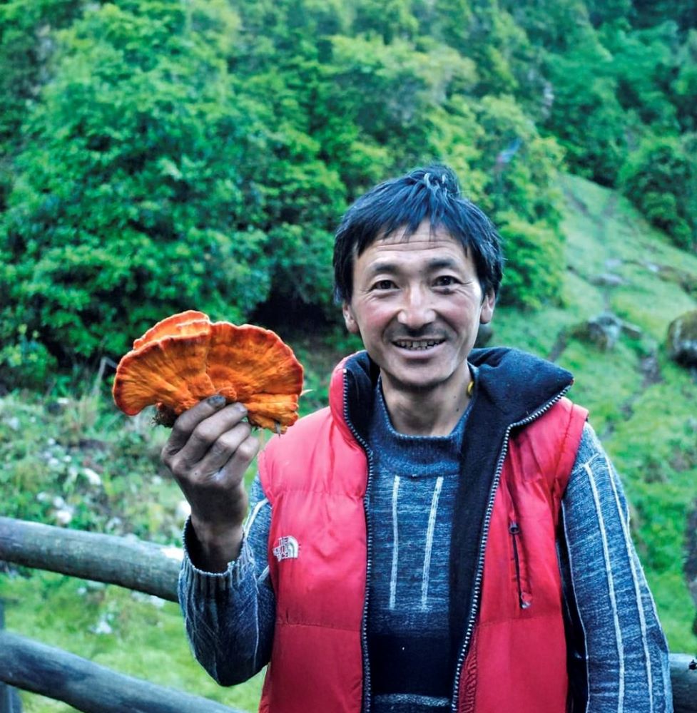 場景／Bhutan Mushroom Tours／不丹