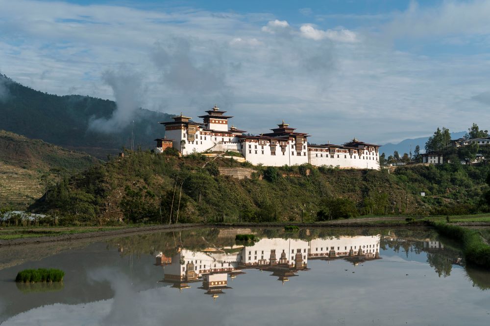 場景／Bhutan Mushroom Tours／不丹