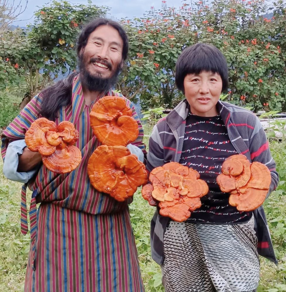 場景／Bhutan Mushroom Tours／不丹