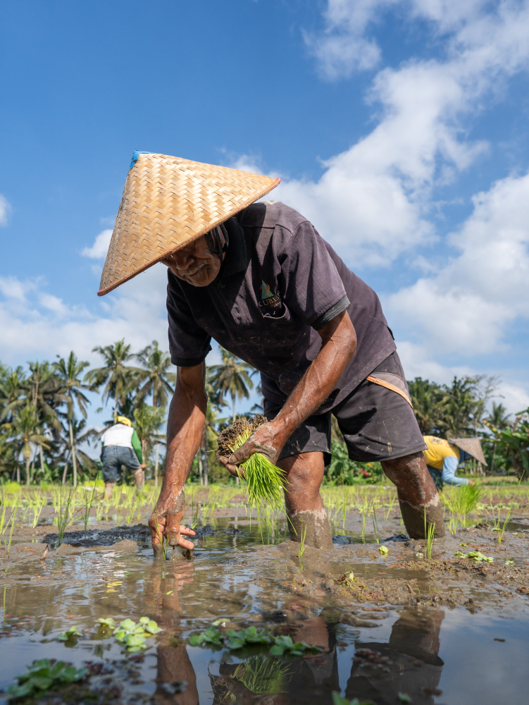 體驗／Hanging Gardens of Bali／飯店／峇里島