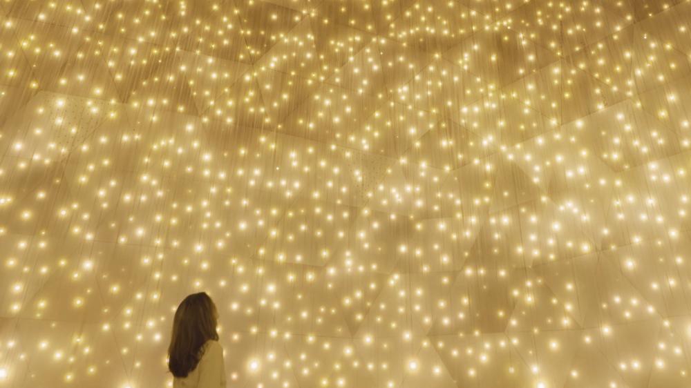 場景／teamLab Biovortex Kyoto／展覽／京都／日本