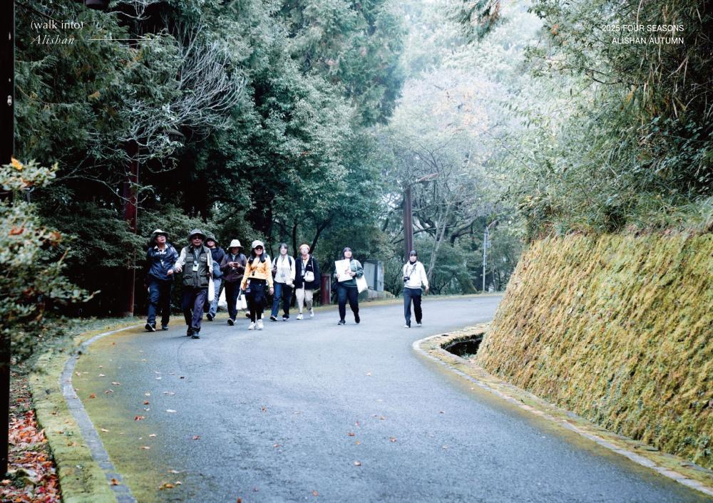 場景/秋,山霧寫真旅/阿里山森旅季活動/嘉義