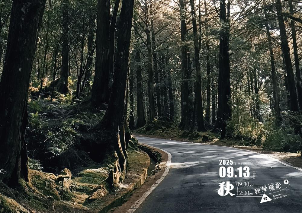 場景/秋,山霧寫真旅/阿里山森旅季活動/嘉義