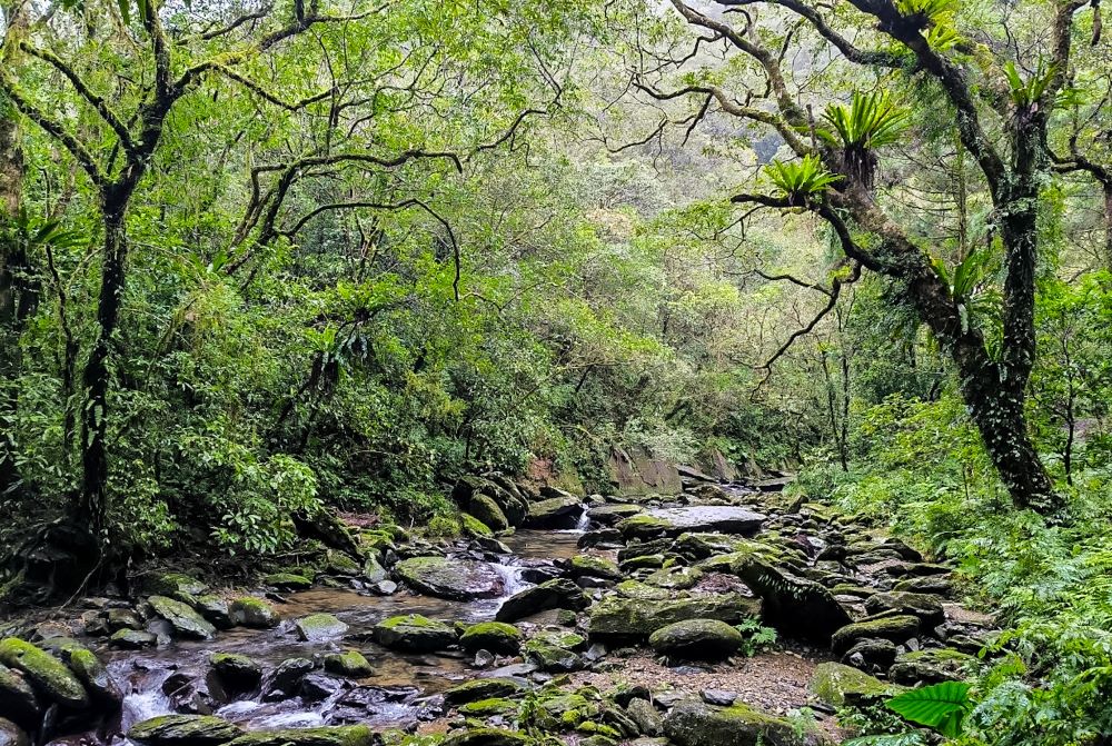 步道／爬山／登山／鬼月／禁忌