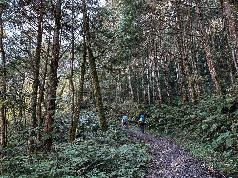 步道／爬山／登山／鬼月／禁忌
