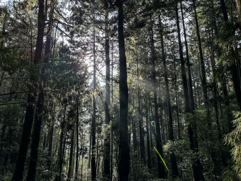 步道／爬山／登山／鬼月／禁忌