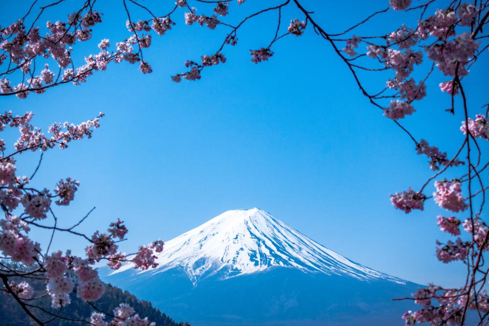 富士山風景／朝霧高原 Fumotoppara 露營場／露營／日本