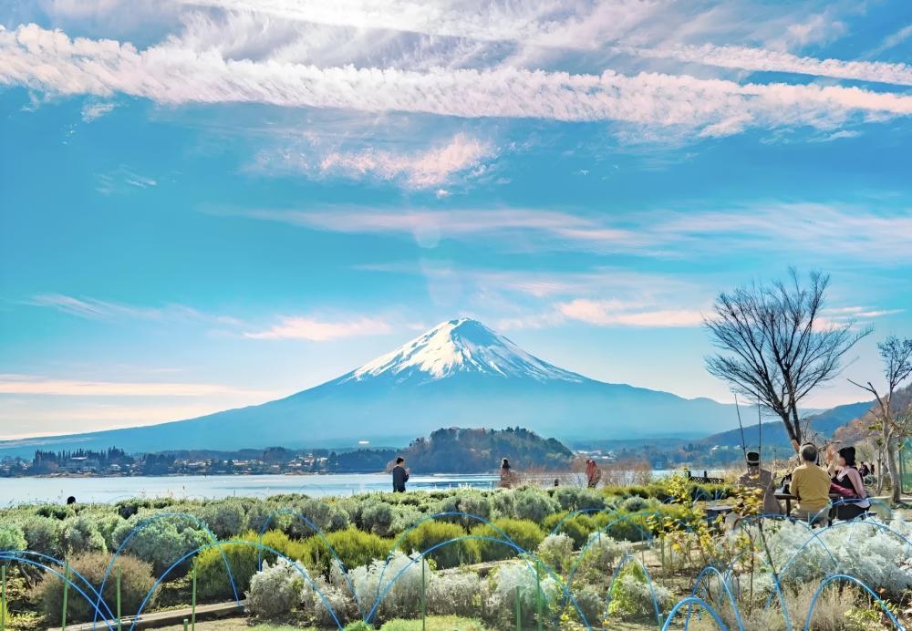 富士山風景／朝霧高原 Fumotoppara 露營場／露營／日本