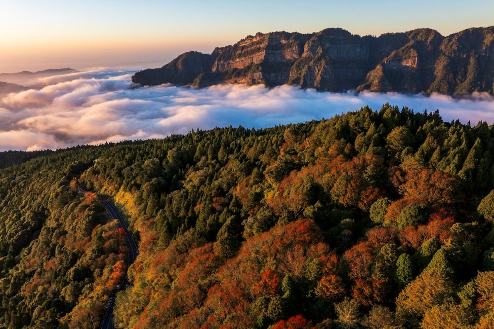阿里山國家風景區雲海季。