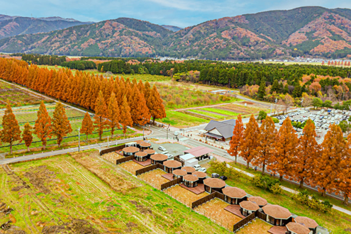 2025日本秋季賞楓露營地。