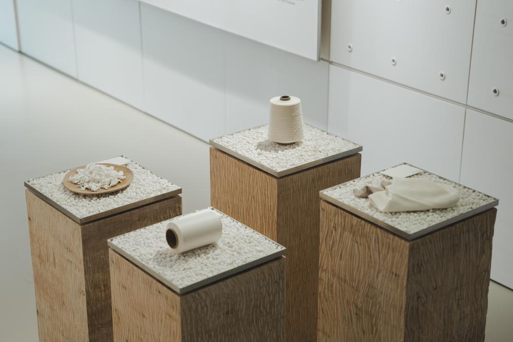 台北樹火紀念紙博物館30週年「歸根-樹火參拾,回自根源」特展場景。