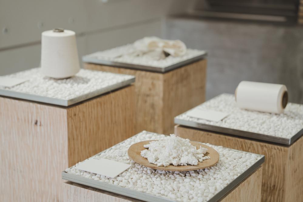 台北樹火紀念紙博物館30週年「歸根-樹火參拾,回自根源」特展場景。
