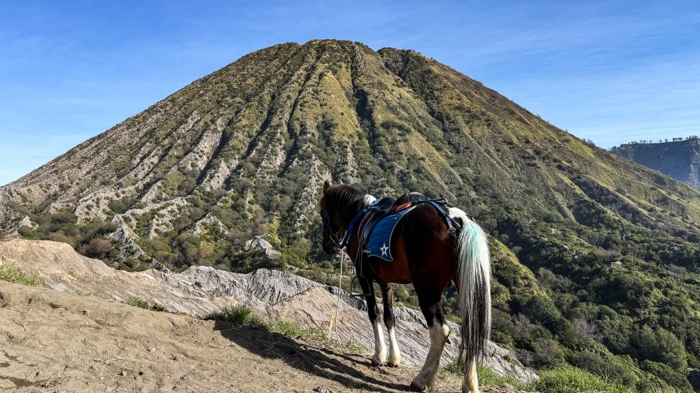 馬匹後方為死火山巴托克火山。