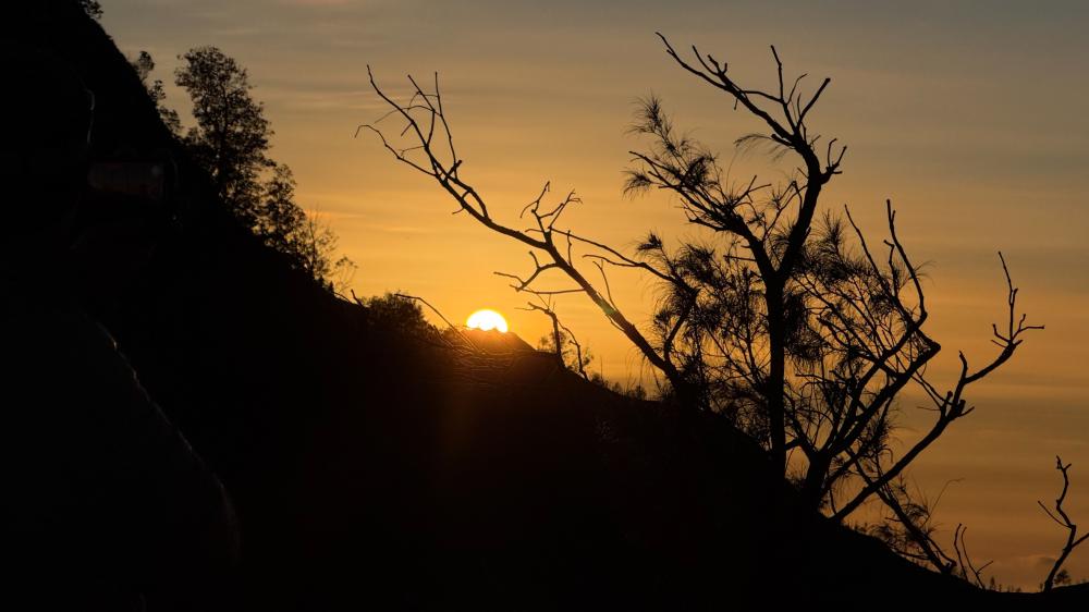 左方天際首先泛起一抹淡金,光線尚未完全降臨時,山谷依舊沉浸在靜默之中。