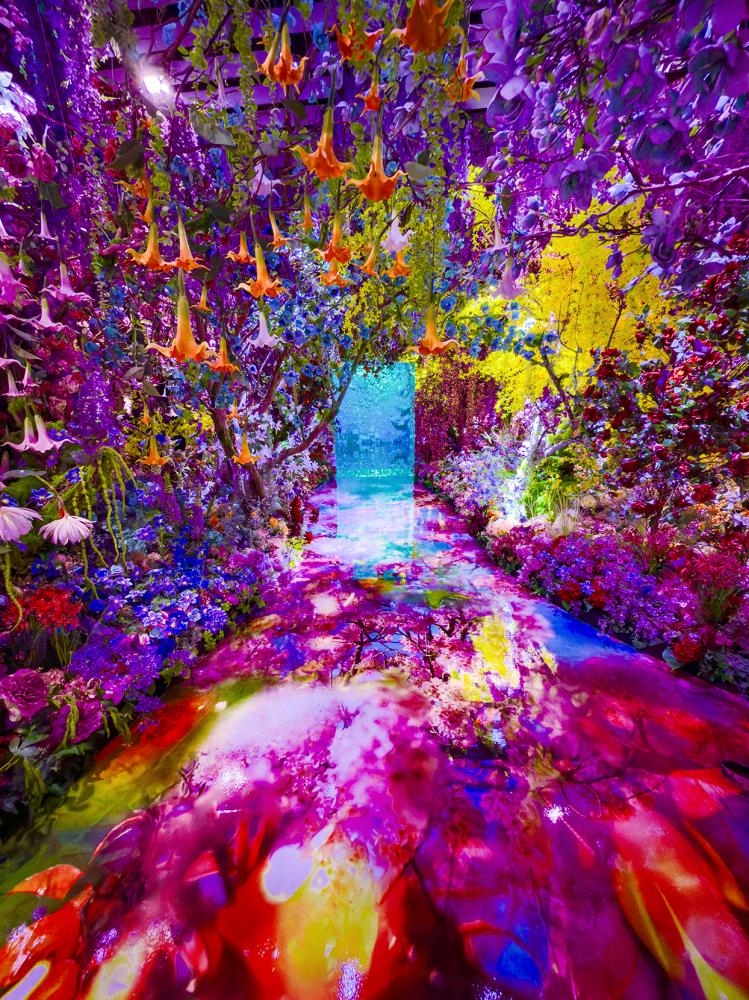 《蜷川實花展 with EiM：彼岸之光，此岸之影》光影藝術展場景。