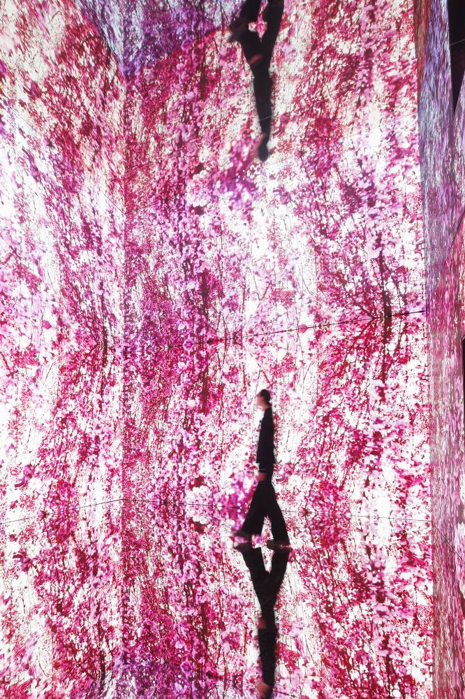 《蜷川實花展 with EiM：彼岸之光，此岸之影》光影藝術展場景。