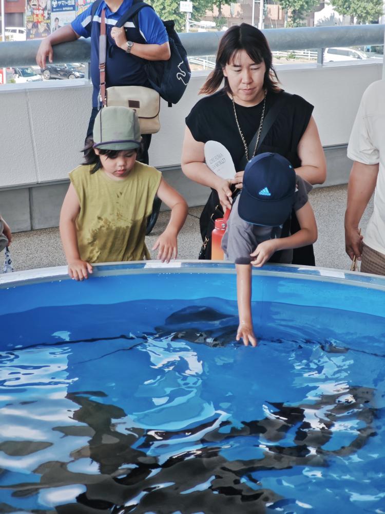 日本渡假村「神戶須磨海洋世界」水池。