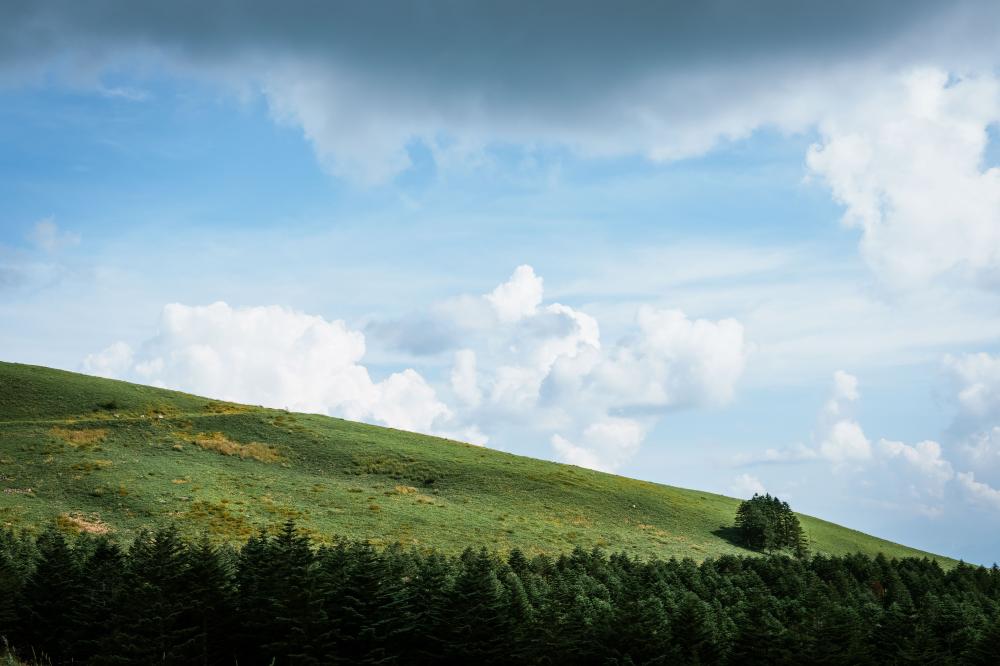 日本長野縣霧之峰高原風景。