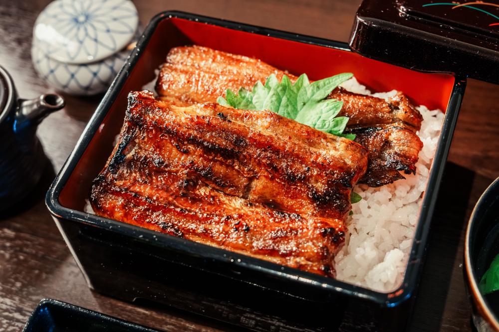 日本長野縣天龍鰻魚飯。