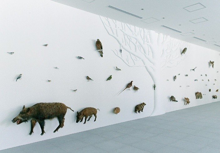 高尾599博物館內部空間。