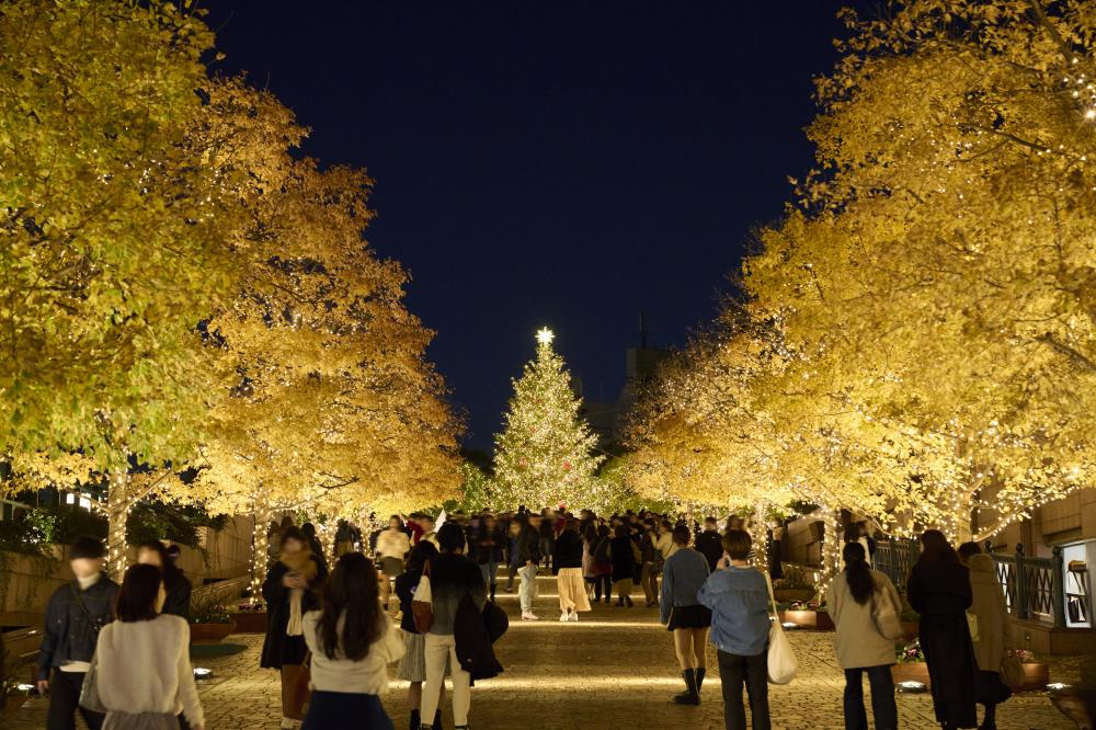 Ebisu Illumination I - Photo Credit TCVB