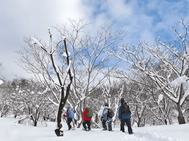 雪鞋健行體驗。