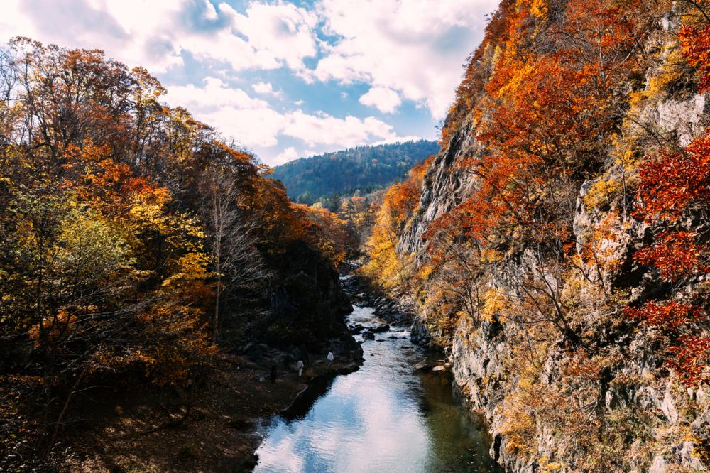 「日本五大賞楓勝地全攻略」。