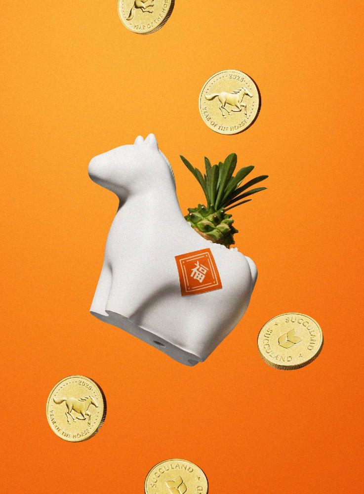 有肉 SUCCULAND ╳ Aunt Stella 詩特莉聯名「快樂馬力」新年光柵動態植栽禮盒。