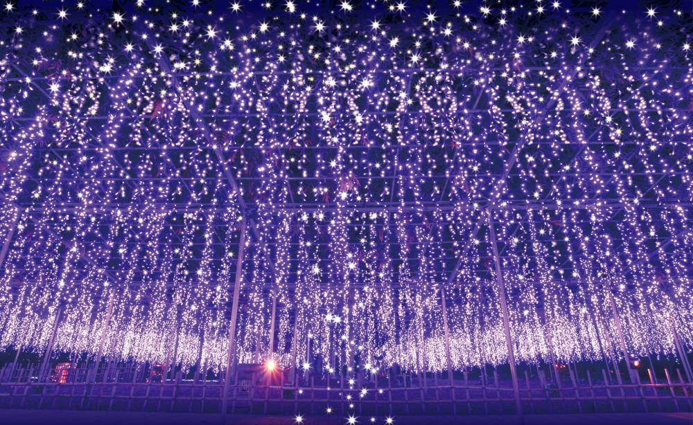 足利花卉公園燈光秀「光之花庭」。