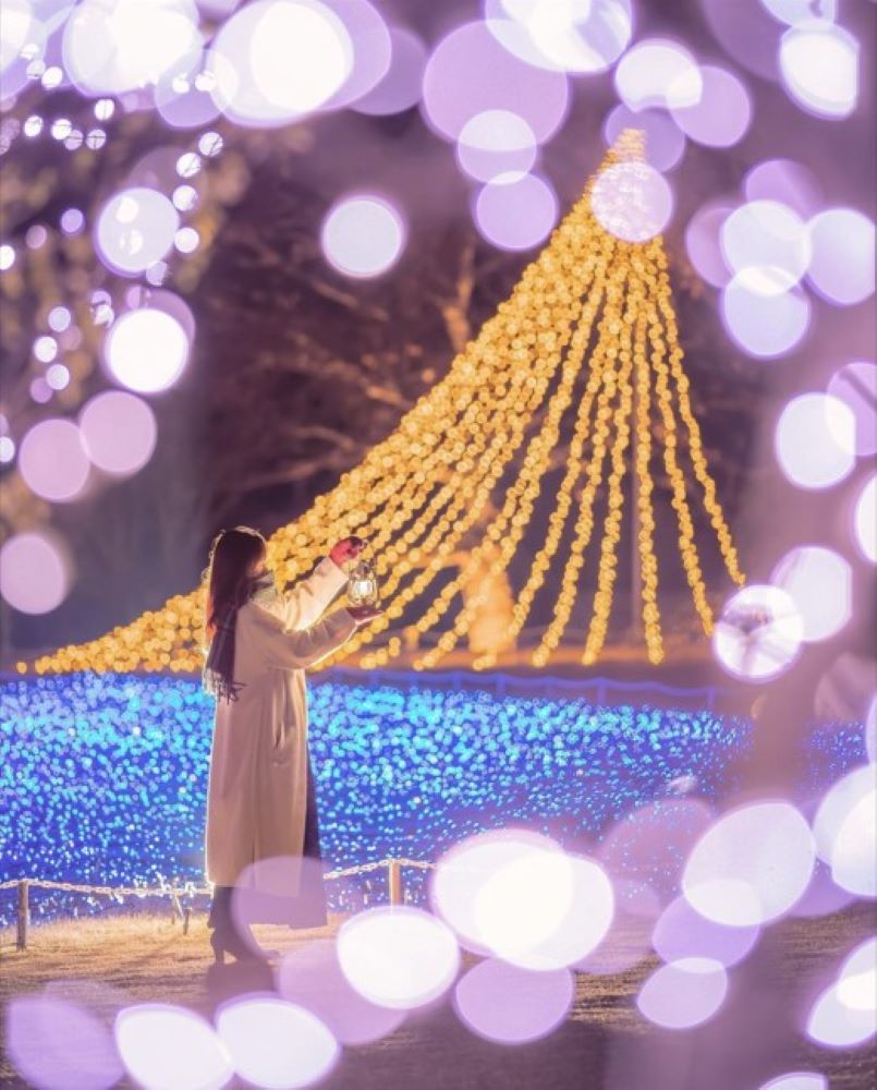 三原市的冬季點燈活動。