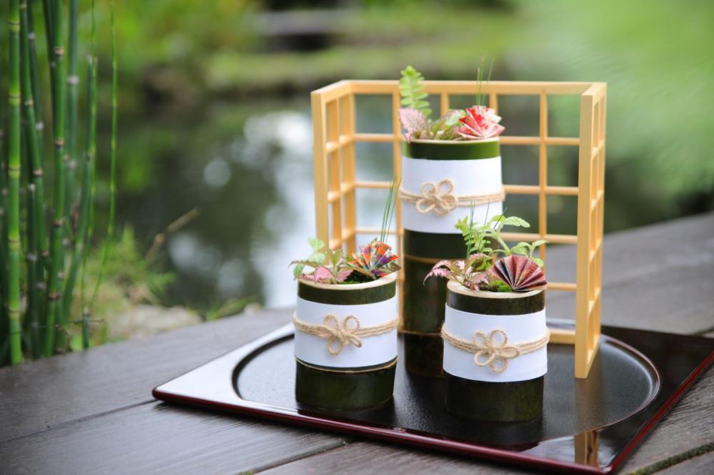 以館內植物為素材，帶領旅客以竹筒為器，搭配松葉與梅花結，創作出迷你門松盆栽