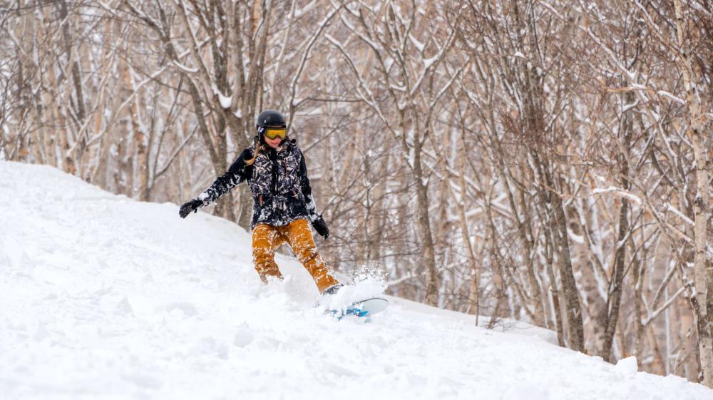 北海道飯店 NOZO Hotel 滑雪。 