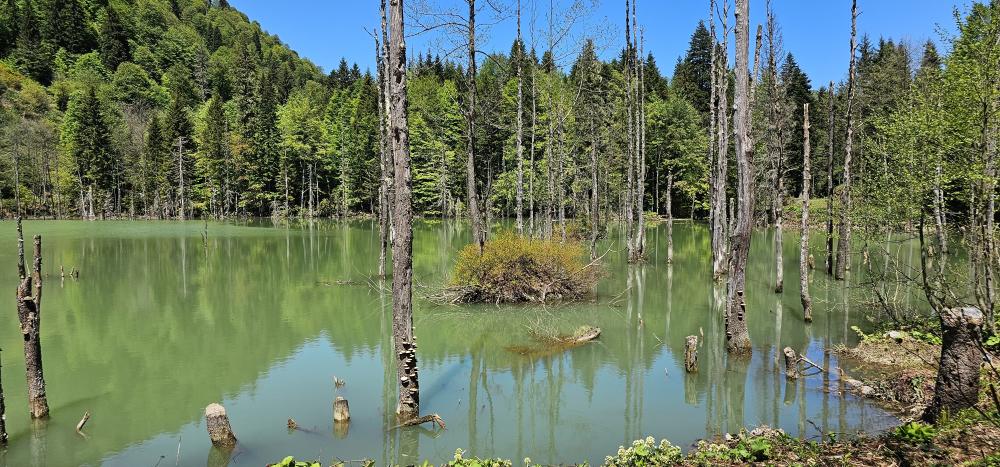 《土耳其》新書發表會旅遊示意圖。