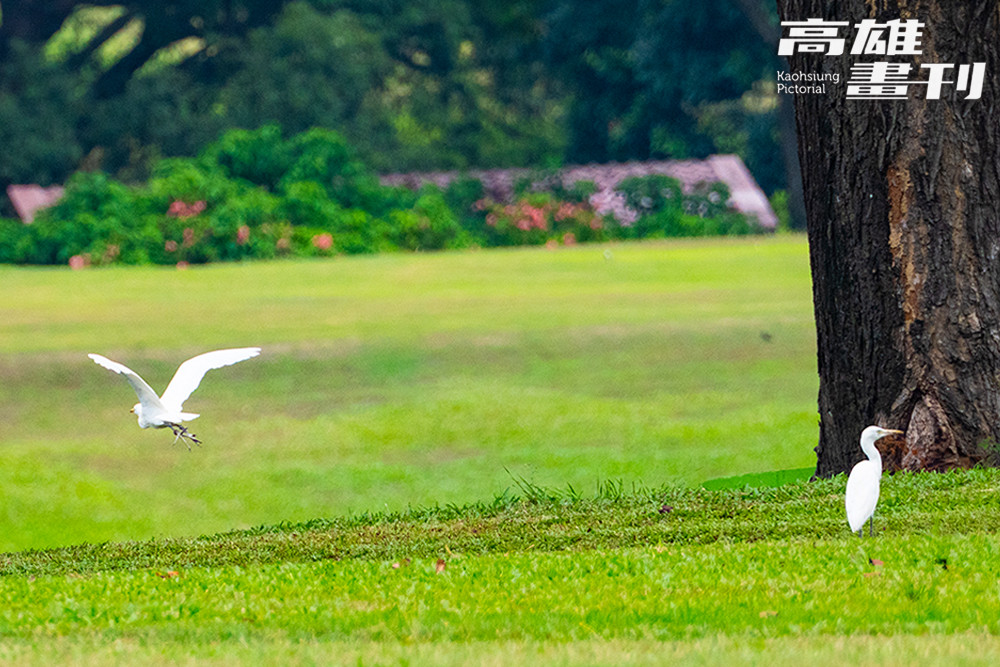 高雄果嶺自然公園
