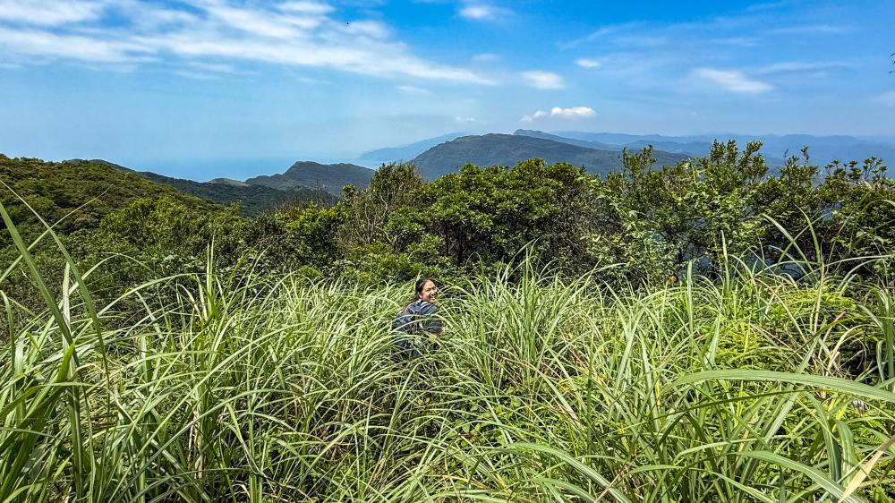 雪山尾稜北段古道
