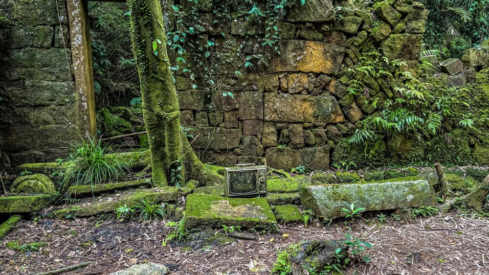 雪山尾稜北段古道