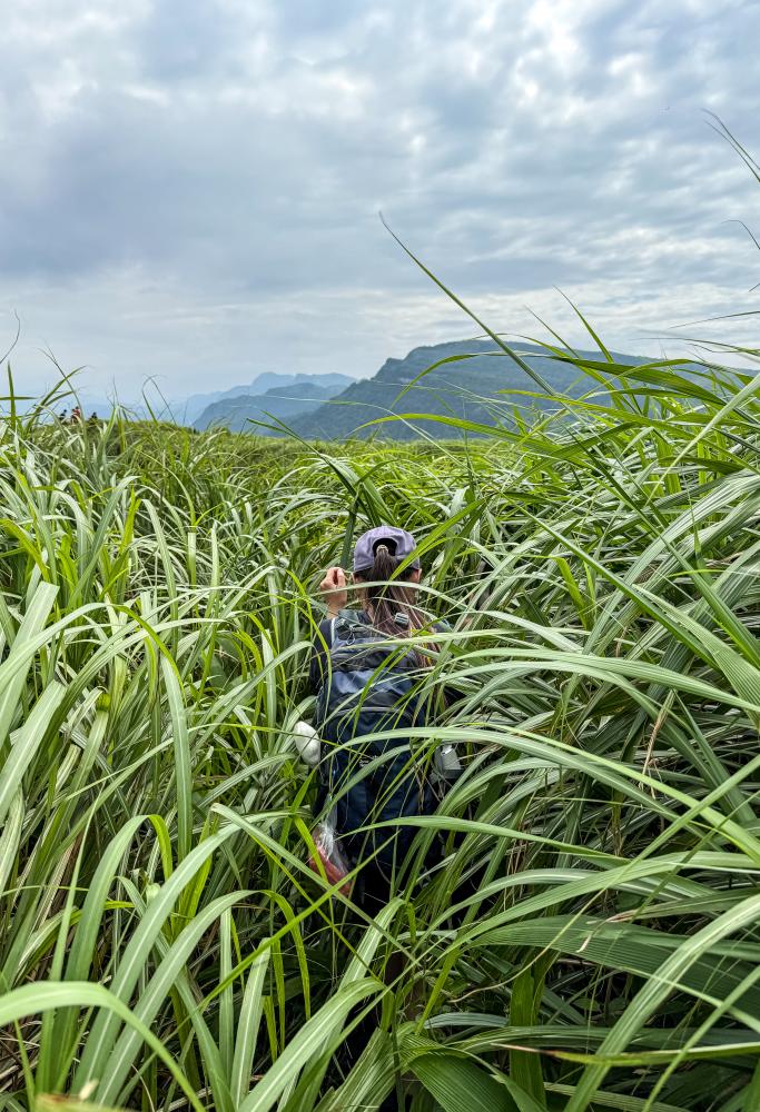 雪山尾稜北段古道