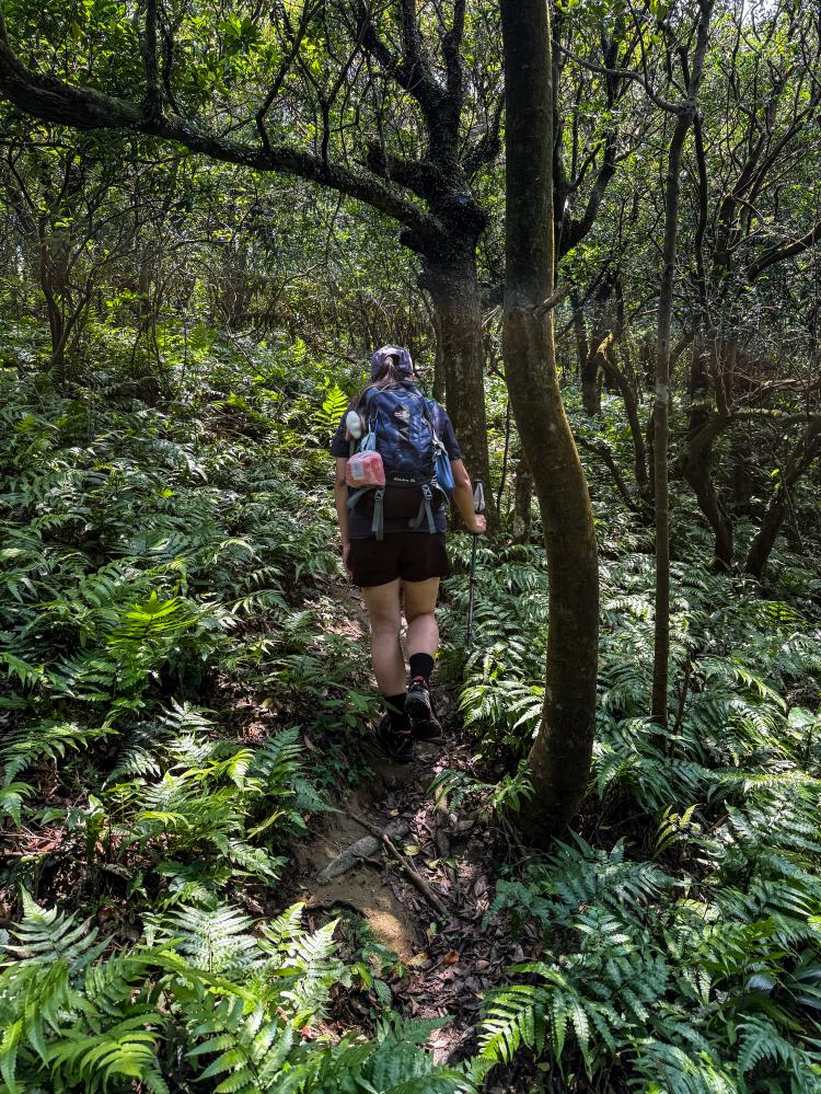 雪山尾稜北段古道