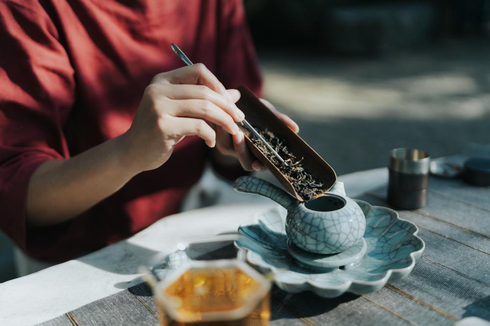 POUYUENJI HILLS 寶元紀之丘 《萬茶盛典》