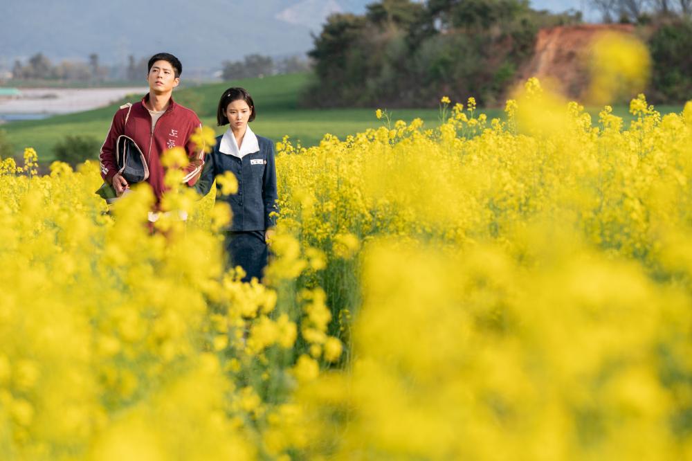 Netflix韓劇《苦盡柑來遇見你》IU、朴寶劍在濟州島