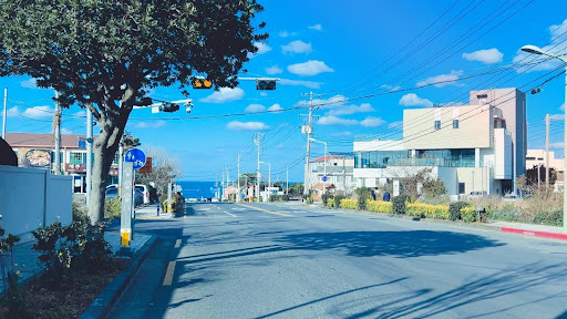 Trip.com 2026年春節出境機票預訂韓國濟州成長超過6倍。取自Trip moment 玩到破