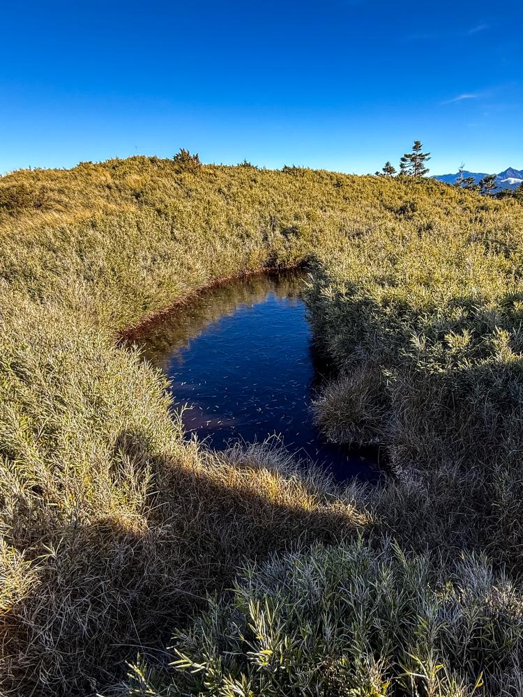 合歡北西北，漫遊於雲海稜線之巔